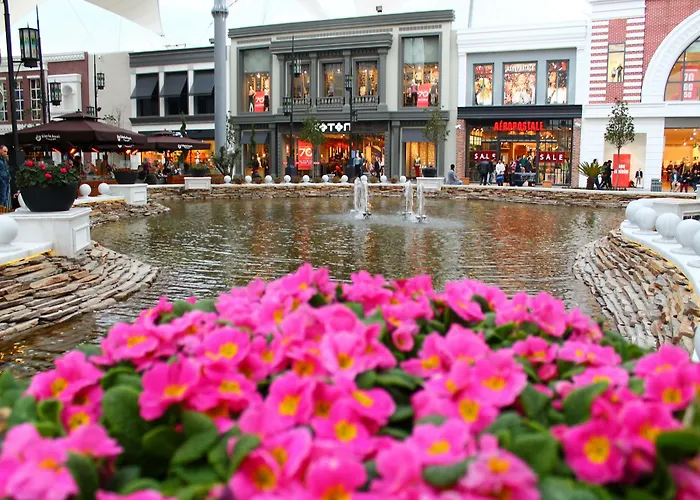 Отель Vialand Palace